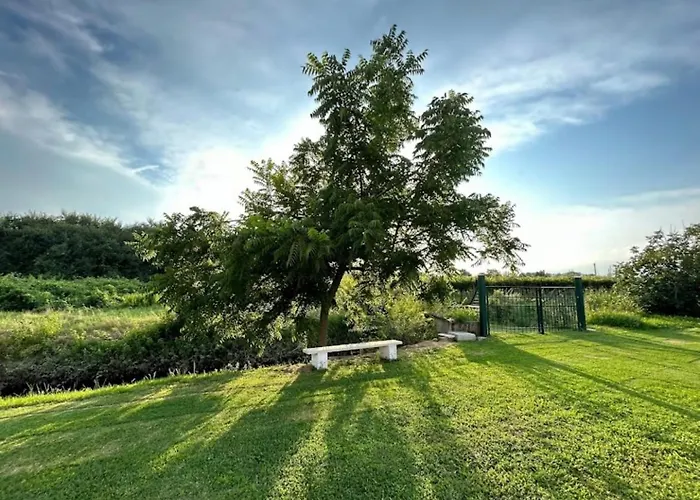 Bed & Breakfast Da Rosy 3*