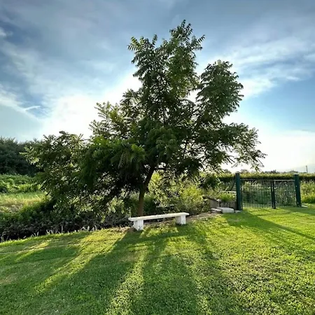 Bed & Breakfast Da Rosy 3*